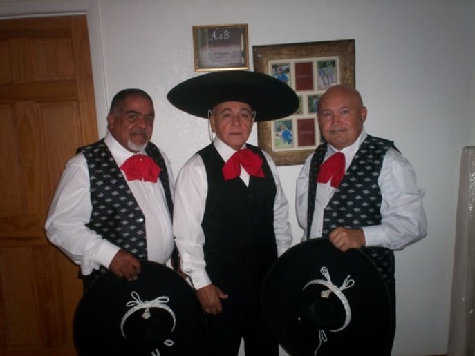 Gallery photo 1 of El Trio Borinquen de Papo Valle