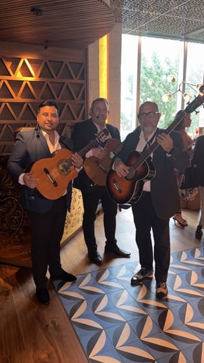 Gallery photo 2 of Trio Latino Boleros