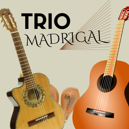 Gallery photo 5 of Trio Madrigal