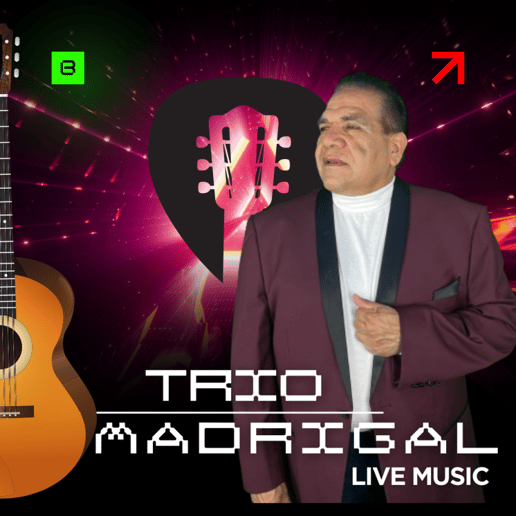 Gallery photo 8 of Trio Madrigal