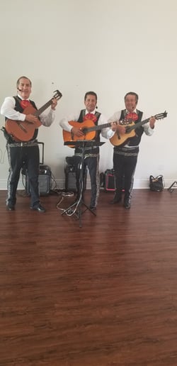 Gallery photo 1 of Trio Mariachi Jalisco