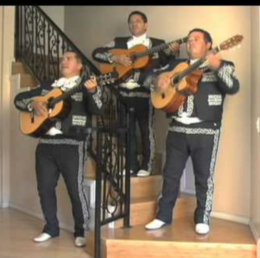 Gallery photo 3 of Trio Mariachi Jalisco
