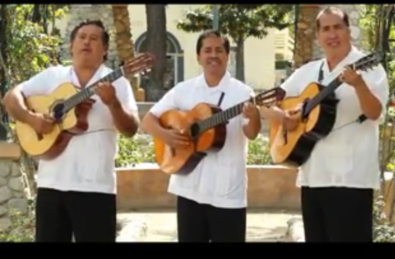 Gallery photo 4 of Trio Mariachi Jalisco