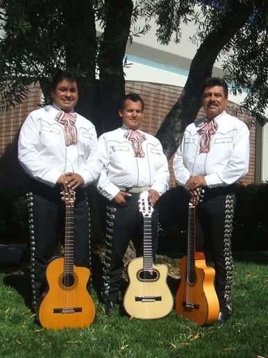 Gallery photo 4 of Trio Sol de Mexico