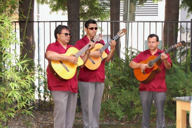 Gallery photo 5 of Trio Sol de Mexico