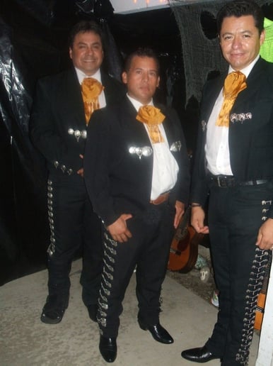 Gallery photo 6 of Trio Sol de Mexico