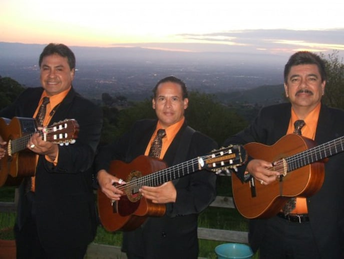 Gallery photo 9 of Trio Sol de Mexico