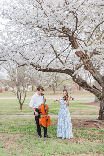 Gallery photo 4 of Tripp String Duo
