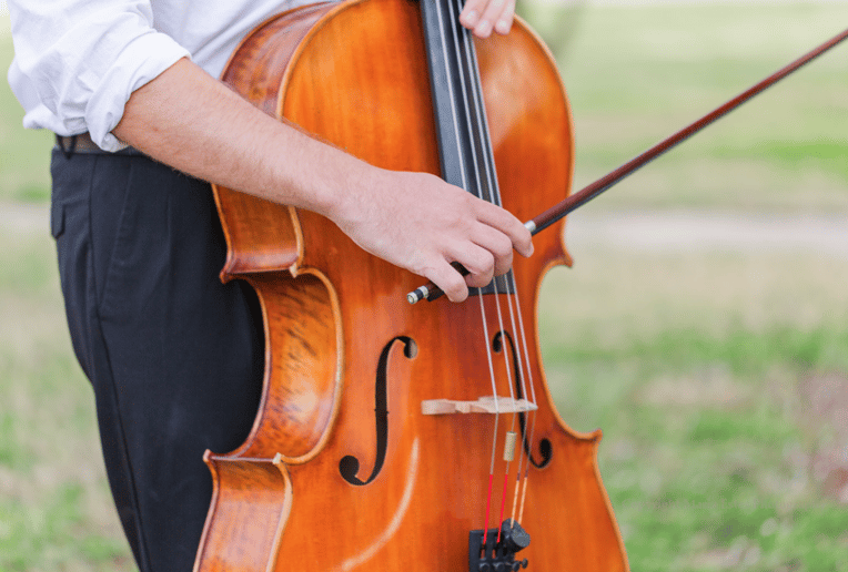 Gallery photo 7 of Tripp String Duo