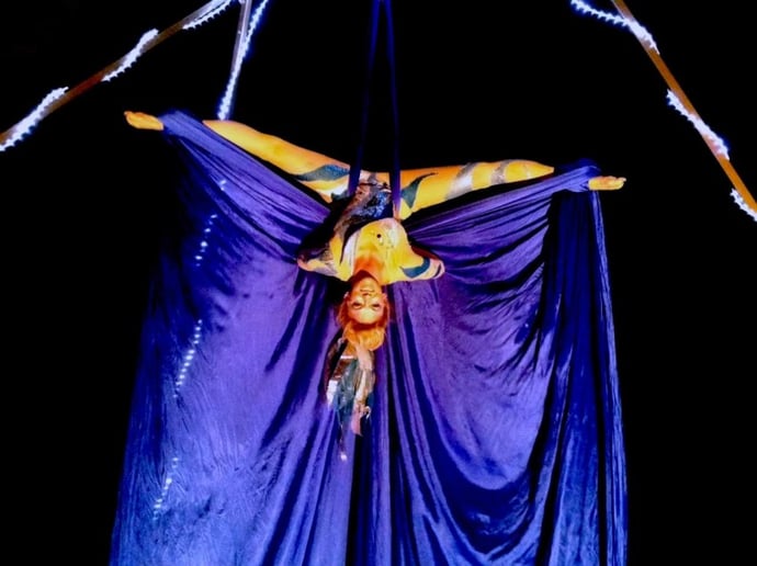 Gallery photo 3 of Circus Farm