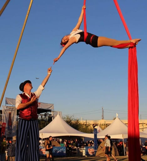 Gallery photo 22 of Circus Farm