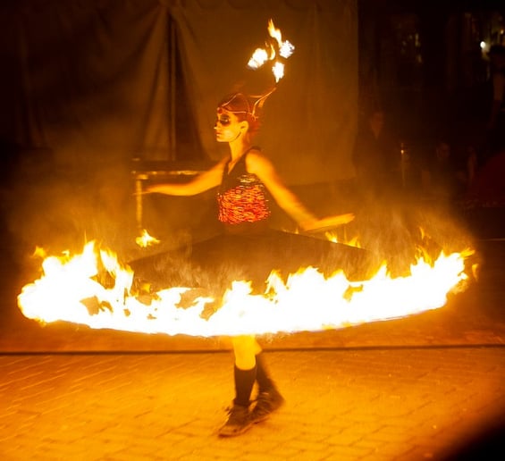 Gallery photo 23 of Circus Farm