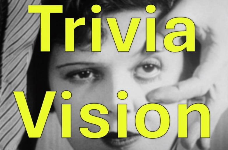Gallery photo 1 of Trivia Vision