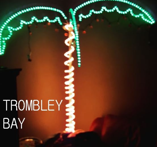 Gallery photo 2 of Trombley Bay