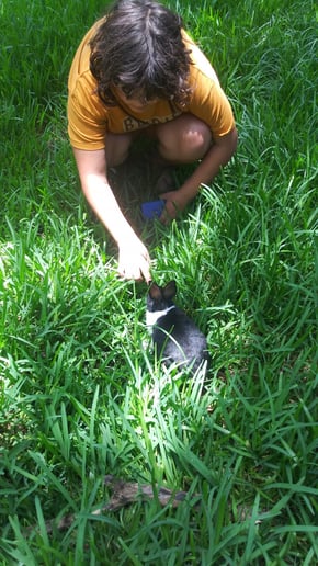 Gallery photo 5 of Bunny Biz FL