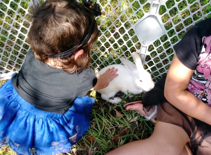 Gallery photo 4 of Bunny Biz FL