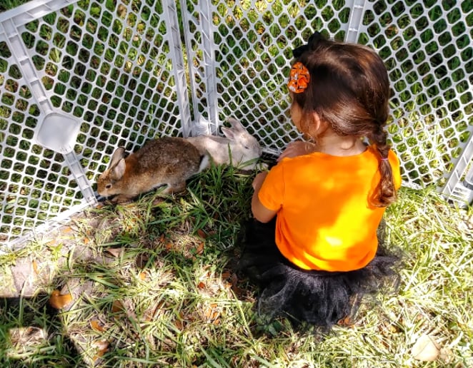 Gallery photo 6 of Bunny Biz FL