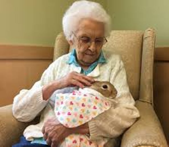 Gallery photo 8 of Bunny Biz FL