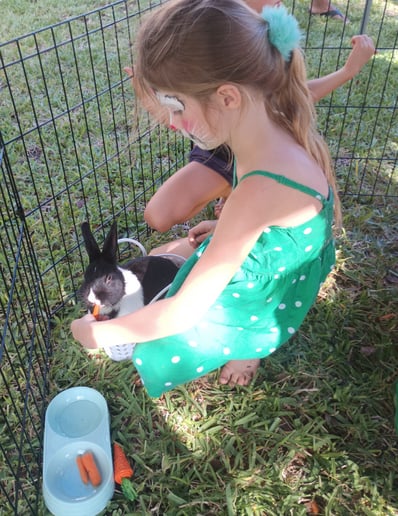 Gallery photo 3 of Bunny Biz FL