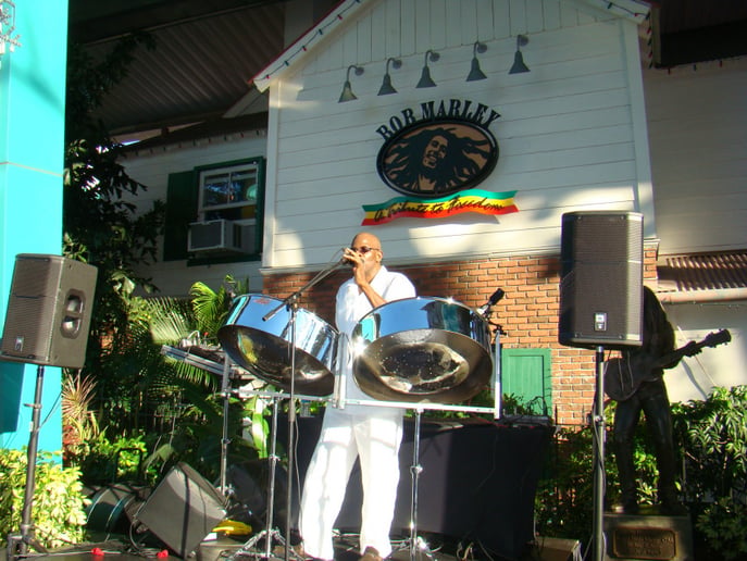 Gallery photo 1 of Tropical Steel