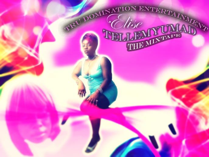 Gallery photo 1 of Tru Domination Entertainment