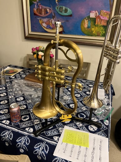 Gallery photo 1 of Trumpet Player