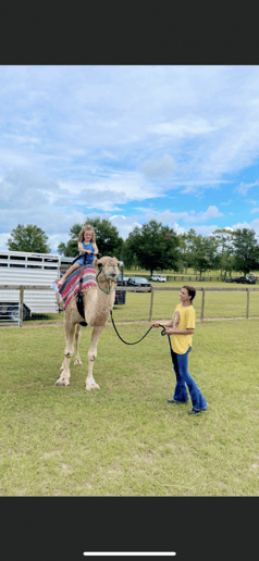 Gallery photo 6 of TurnAround Livestock and Exotics