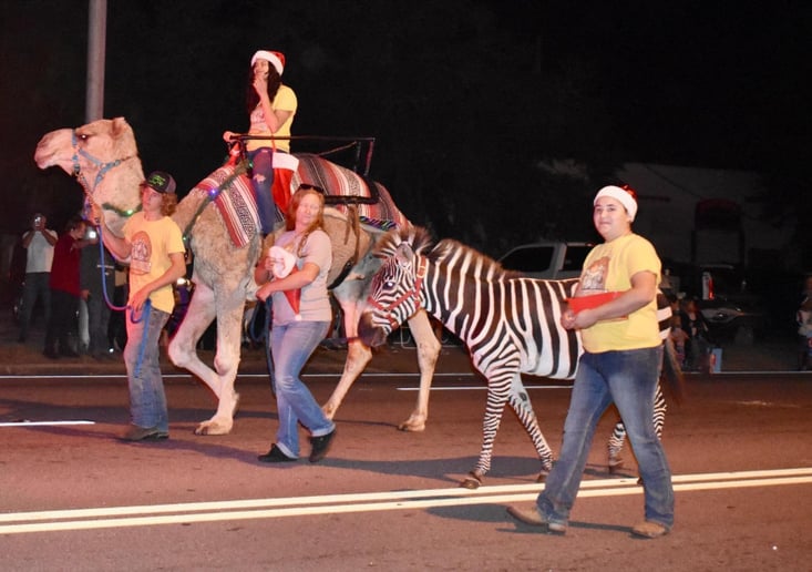 Gallery photo 7 of TurnAround Livestock and Exotics