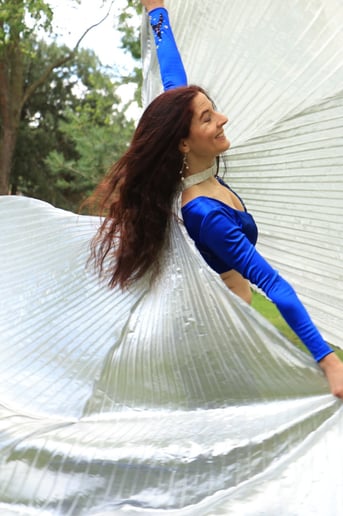 Gallery photo 20 of Twin Mirage Belly Dance