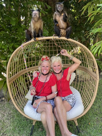 Gallery photo 1 of Twins and Jungle Friends