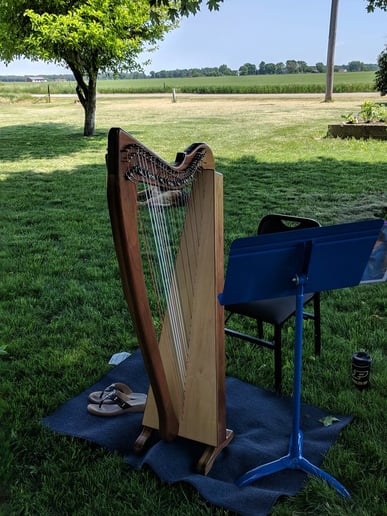 Gallery photo 5 of Cynthia Boener, Harp