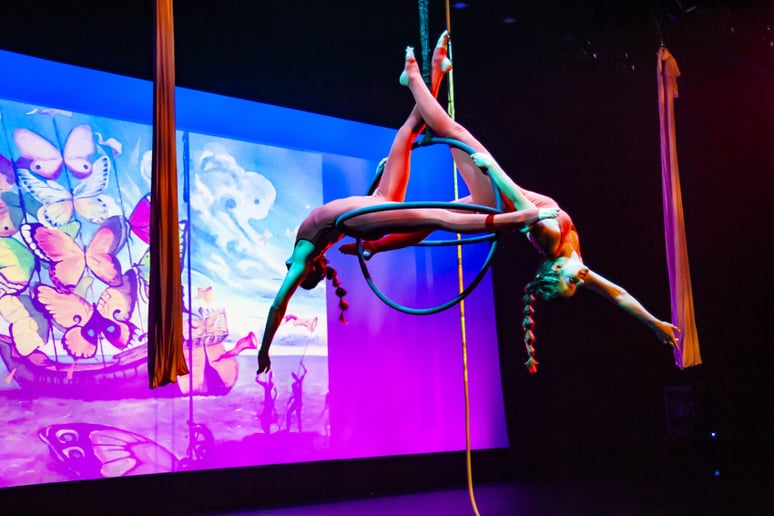 Gallery photo 2 of Twirling Twins Entertainment