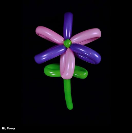 Gallery photo 2 of Twist Balloons
