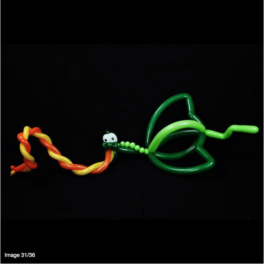 Gallery photo 6 of Twist Balloons