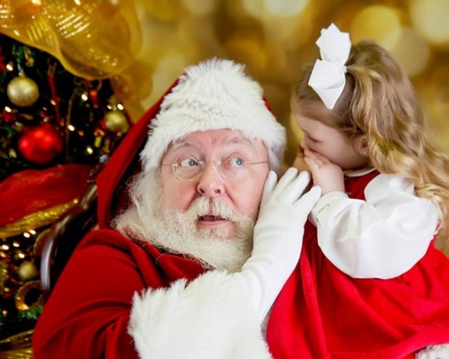 Gallery photo 15 of Tyler Santa