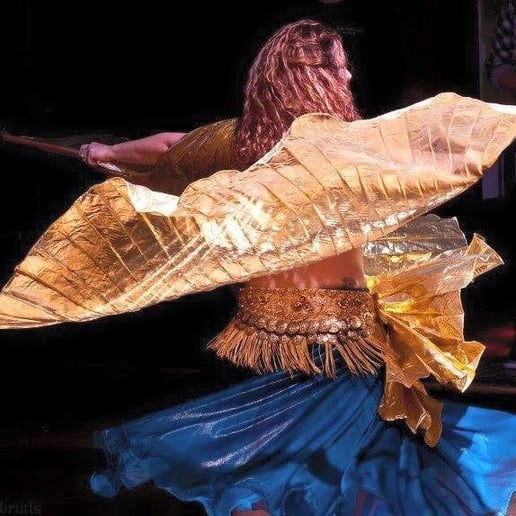 Gallery photo 5 of Typhrodisia's Bellydance and beyond studio