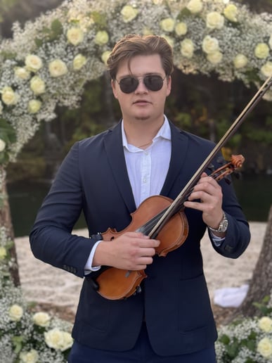 Gallery photo 1 of Uaviolin