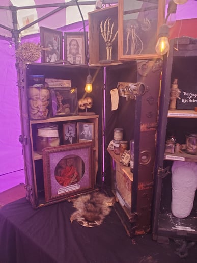 Gallery photo 20 of Professor Gallico's Wonderarium