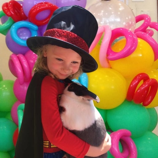 Gallery photo 9 of Uncle Bucks Magic Show