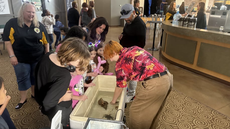 Gallery photo 3 of Under the Sea