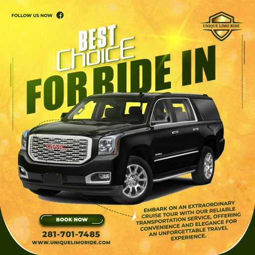 Gallery photo 2 of Unique Limo Ride