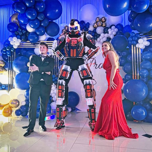 Gallery photo 25 of Mega Robot