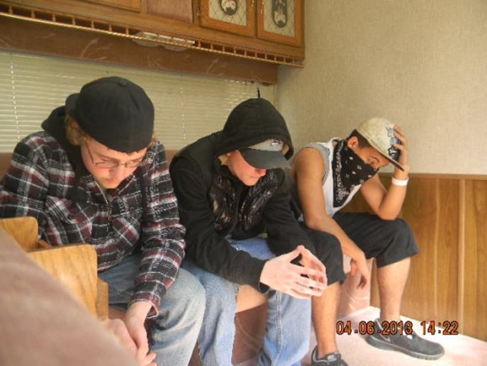 Gallery photo 1 of Unleashed