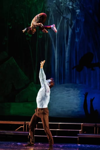 Gallery photo 8 of UPA Acrobatic, Hand-to-Hand, Aeriel, and Circus Acts