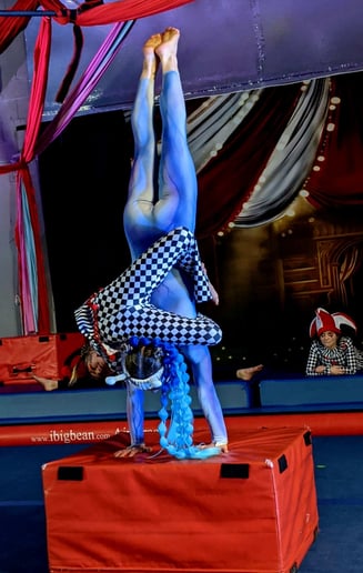 Gallery photo 9 of UPA Acrobatic, Hand-to-Hand, Aeriel, and Circus Acts