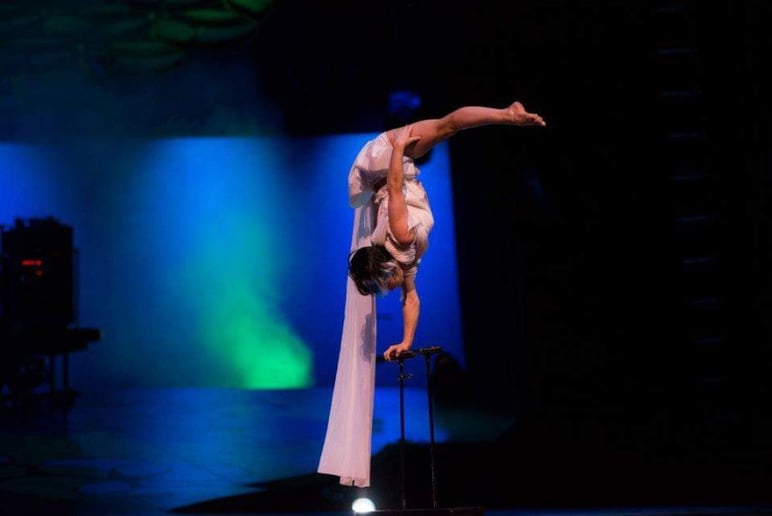 Gallery photo 11 of UPA Acrobatic, Hand-to-Hand, Aeriel, and Circus Acts