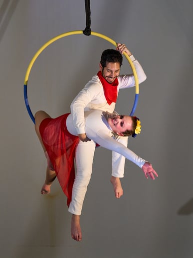 Gallery photo 8 of Upside Aerial
