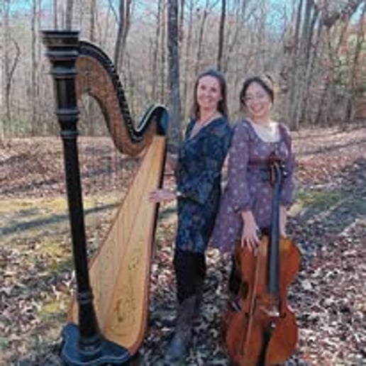 Gallery photo 1 of Upstate Harpist