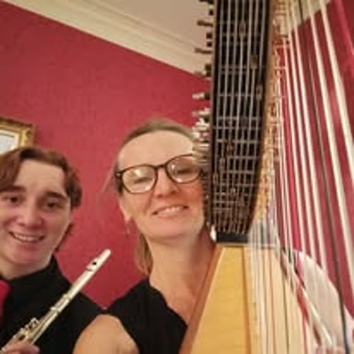Gallery photo 2 of Upstate Harpist