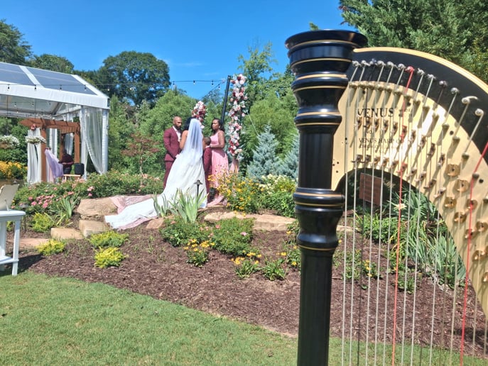 Gallery photo 4 of Upstate Harpist